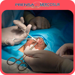 “Acto de amor”: el motivo por el cual cada vez más hombres se practican vasectomías