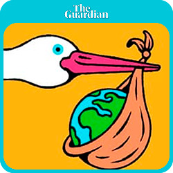 ‘More people is the last thing this planet needs’: the men getting vasectomies to save the world